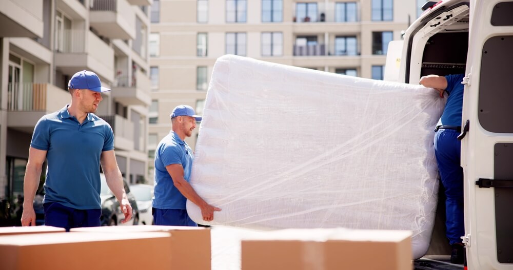 Professional Movers Professional Movers