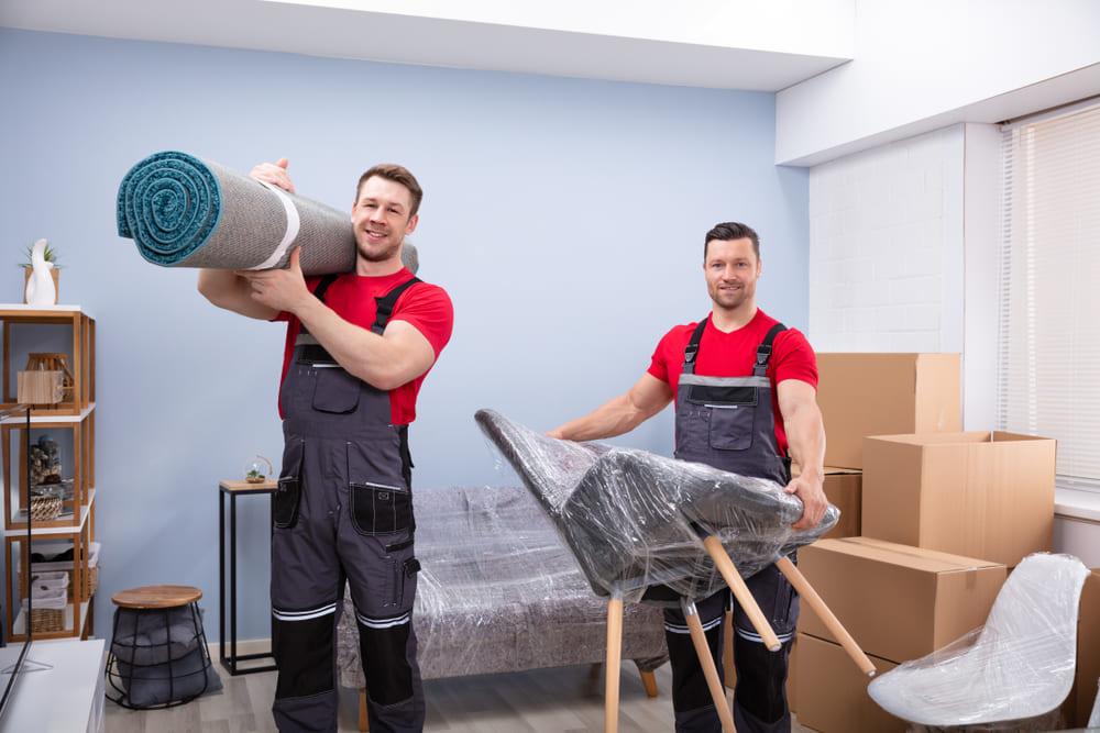 Professional Movers in Auckland
