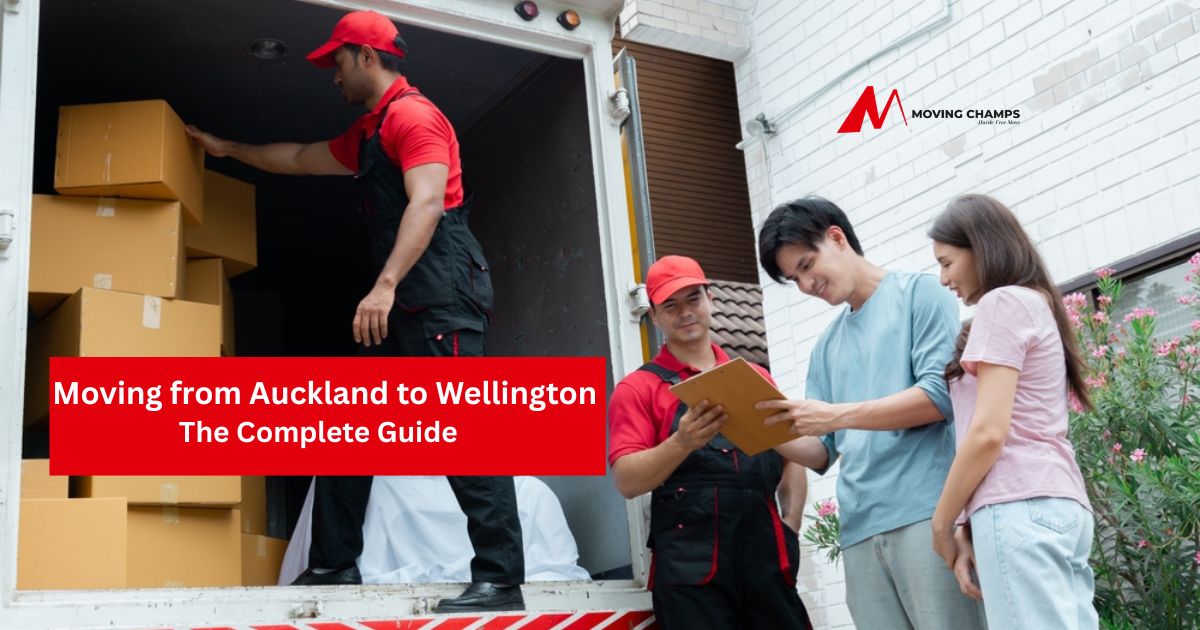 Moving from Auckland to Wellington