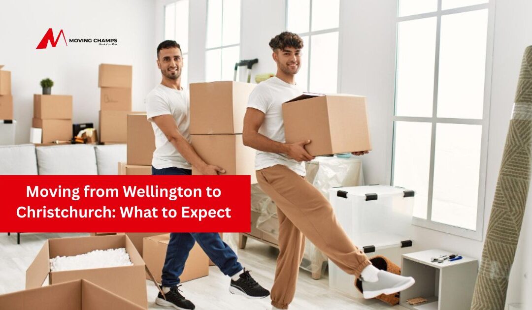 Moving from Wellington to Christchurch: What to Expect
