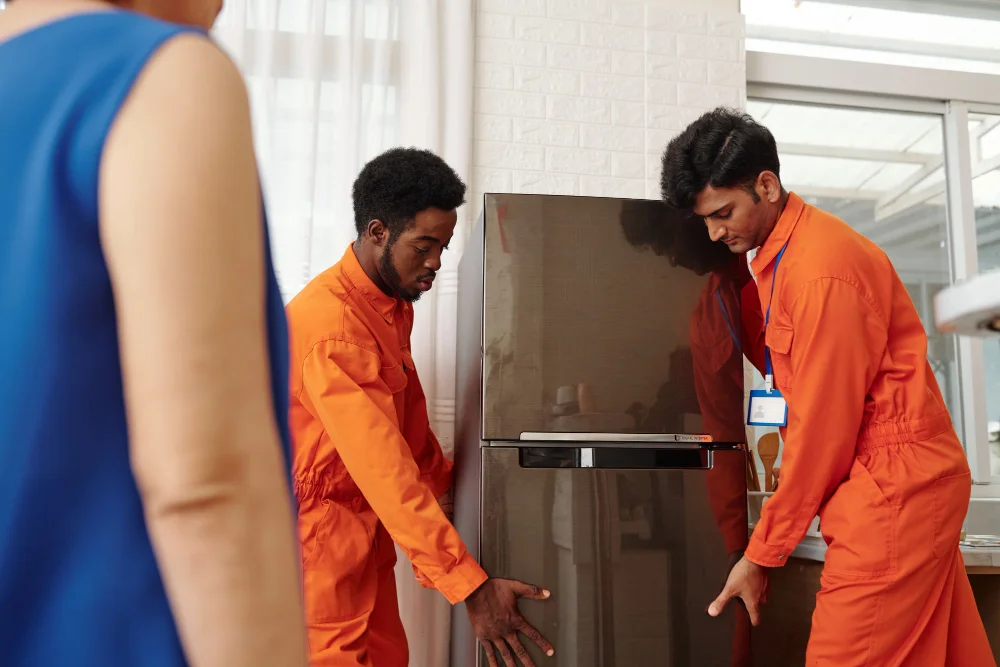 Fridge Movers Kapiti, NZ | Expert Moving Services by Moving Champs