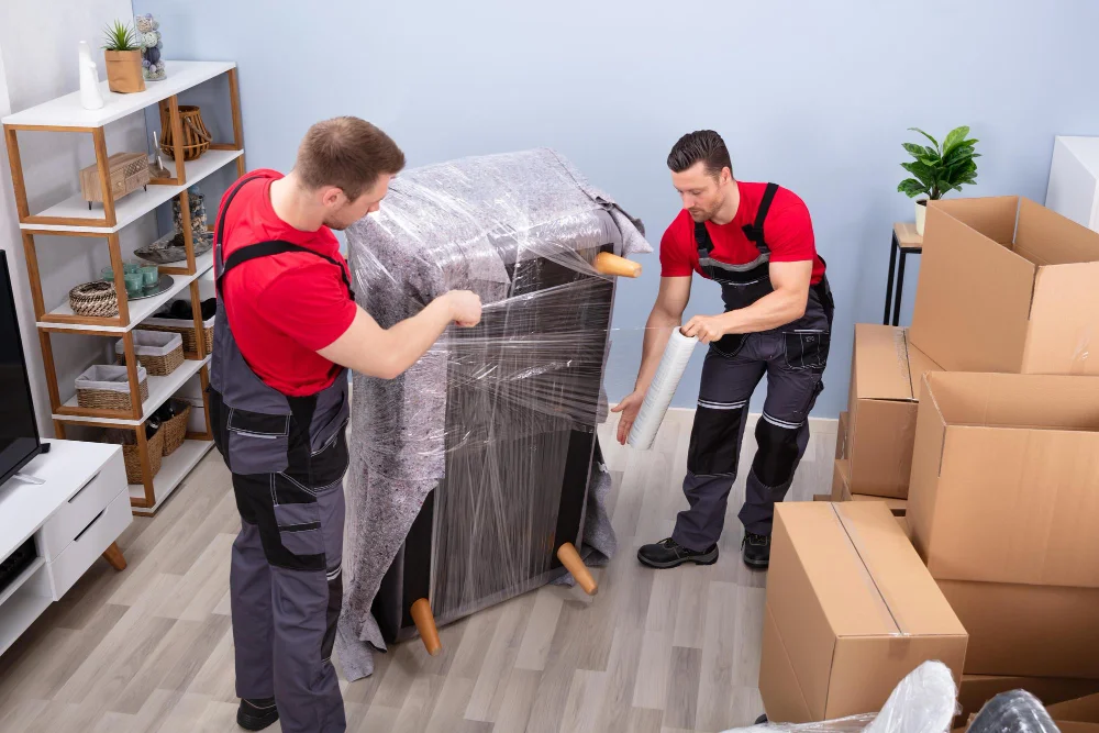 Cheap Furniture Movers Wellington - Moving Champs NZ